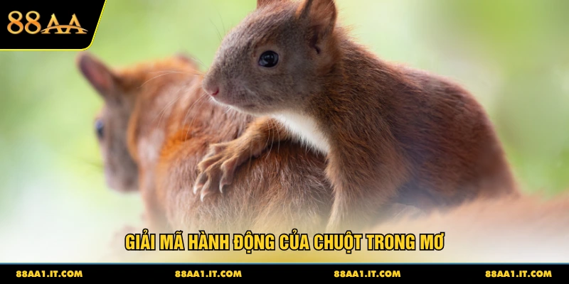 Giải mã hành động của chuột trong mơ